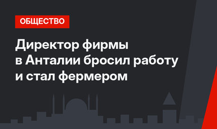 Директор фирмы в Анталии бросил работу и стал фермером