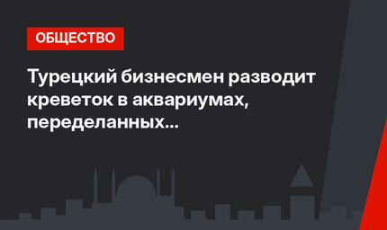 Турецкий бизнесмен разводит креветок в аквариумах, переделанных из холодильников