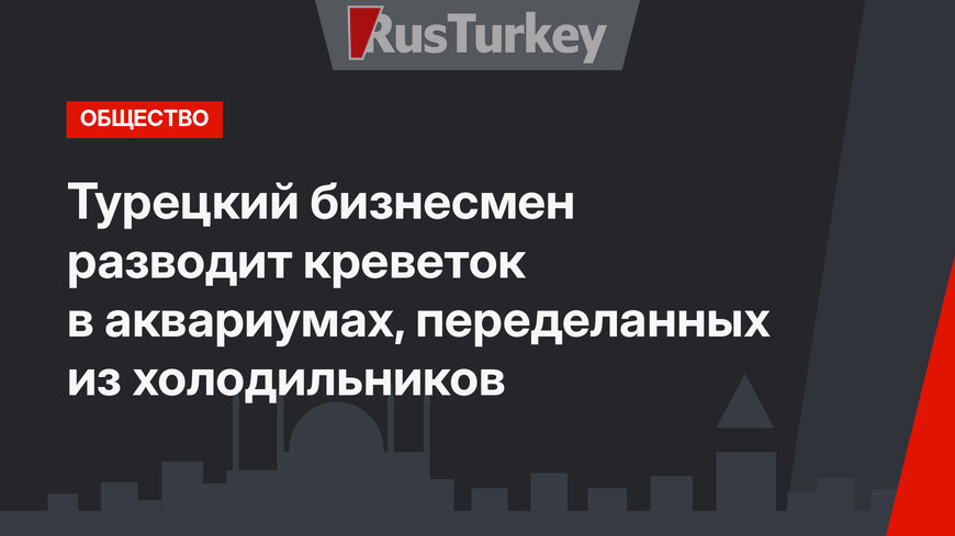 Турецкий бизнесмен разводит креветок в аквариумах, переделанных из холодильников