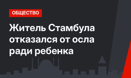 Житель Стамбула отказался от осла ради ребенка