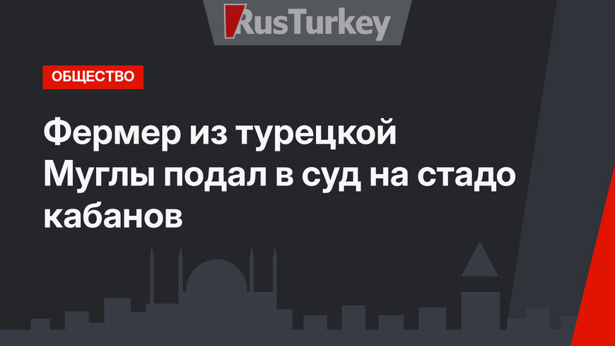 Фермер из турецкой Муглы подал в суд на стадо кабанов