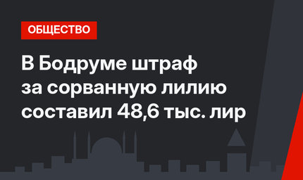 В Бодруме штраф за сорванную лилию составил 48,6 тыс. лир