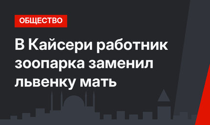 В Кайсери работник зоопарка заменил львенку мать