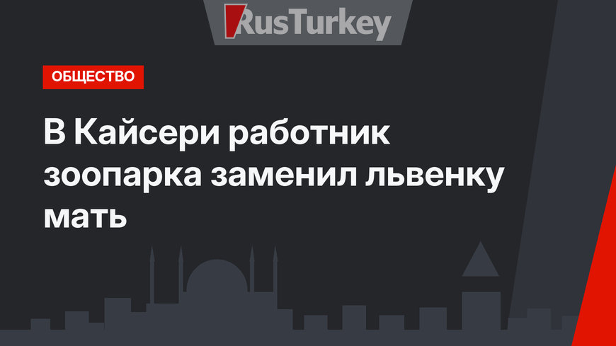 В Кайсери работник зоопарка заменил львенку мать