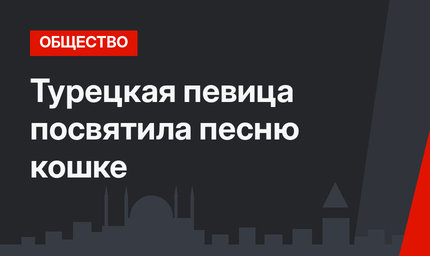 Турецкая певица посвятила песню кошке