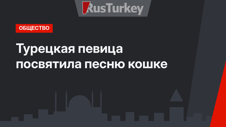 Турецкая певица посвятила песню кошке