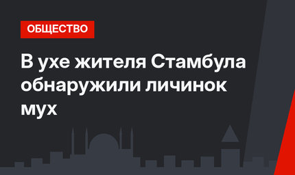 В ухе жителя Стамбула обнаружили личинок мух