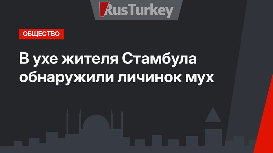 В ухе жителя Стамбула обнаружили личинок мух