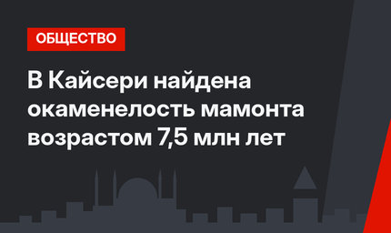 В Кайсери найдена окаменелость мамонта возрастом 7,5 млн лет