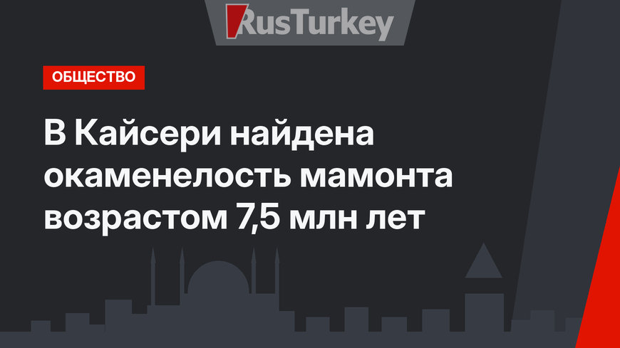 В Кайсери найдена окаменелость мамонта возрастом 7,5 млн лет
