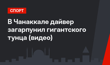 В Чанаккале дайвер загарпунил гигантского тунца (видео)
