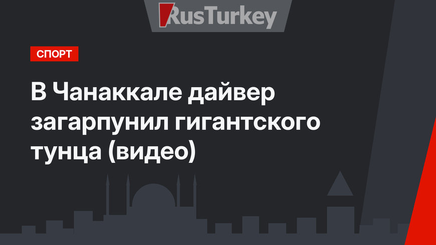 В Чанаккале дайвер загарпунил гигантского тунца (видео)