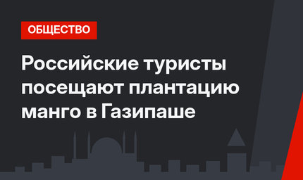 Российские туристы посещают плантацию манго в Газипаше