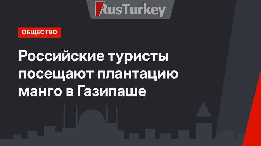 Российские туристы посещают плантацию манго в Газипаше