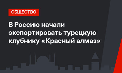 В Россию начали экспортировать турецкую клубнику «Красный алмаз»