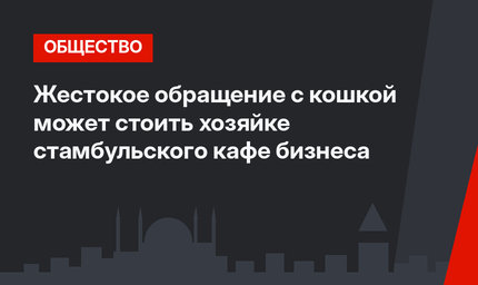 Жестокое обращение с кошкой может стоить хозяйке стамбульского кафе бизнеса