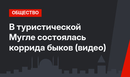 В туристической Мугле состоялась коррида быков (видео)