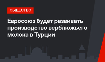 Евросоюз будет развивать производство верблюжьего молока в Турции