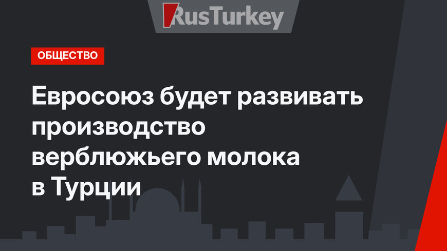 Евросоюз будет развивать производство верблюжьего молока в Турции