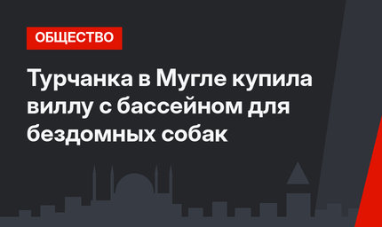 Турчанка в Мугле купила виллу с бассейном для бездомных собак
