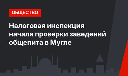 Налоговая инспекция начала проверки заведений общепита в Мугле