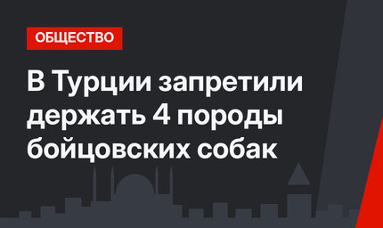 В Турции запретили держать 4 породы бойцовских собак