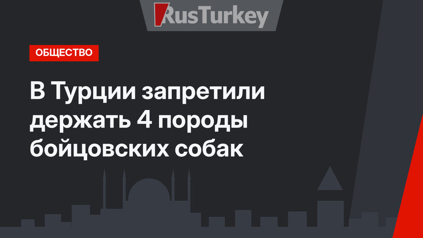 В Турции запретили держать 4 породы бойцовских собак