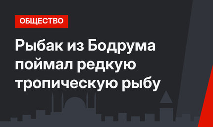 Рыбак из Бодрума поймал редкую тропическую рыбу