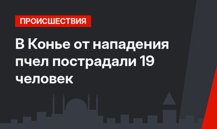 В Конье от нападения пчел пострадали 19 человек