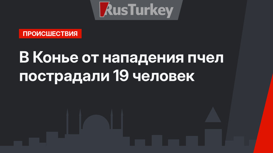 В Конье от нападения пчел пострадали 19 человек