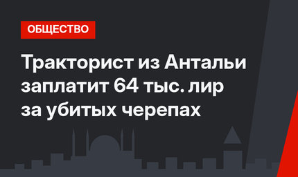 Тракторист из Антальи заплатит 64 тыс. лир за убитых черепах