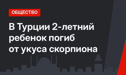 В Турции 2-летний ребенок погиб от укуса скорпиона