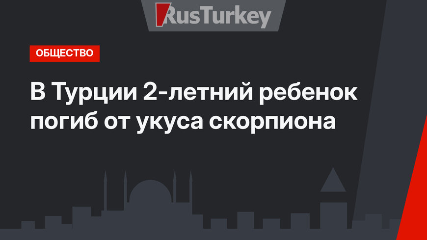 В Турции 2-летний ребенок погиб от укуса скорпиона
