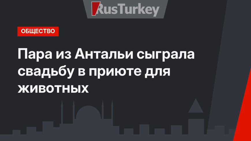 Пара из Антальи сыграла свадьбу в приюте для животных