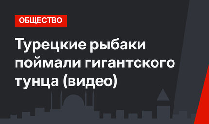 Турецкие рыбаки поймали гигантского тунца (видео)
