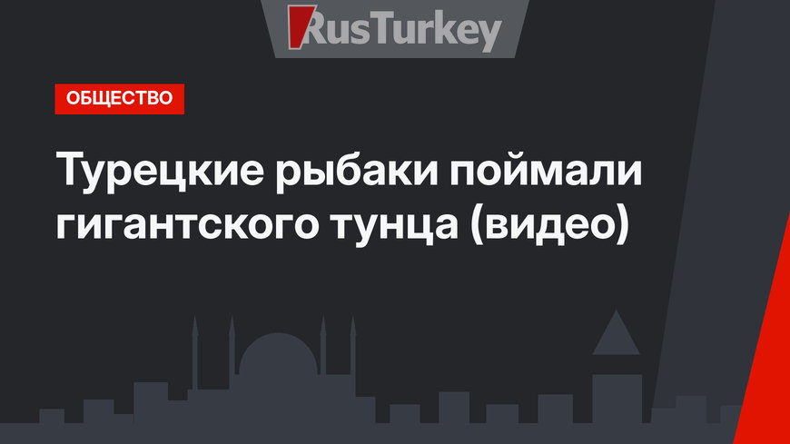Турецкие рыбаки поймали гигантского тунца (видео)