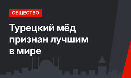 Турецкий мёд признан лучшим в мире