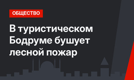 В туристическом Бодруме бушует лесной пожар