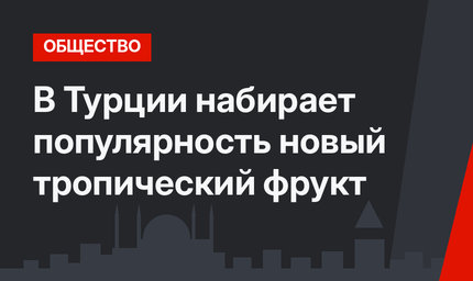 В Турции набирает популярность новый тропический фрукт