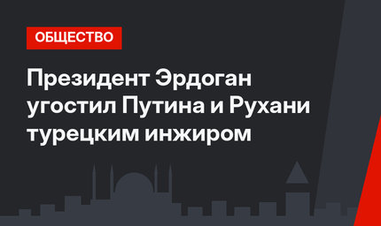 Президент Эрдоган угостил Путина и Рухани турецким инжиром