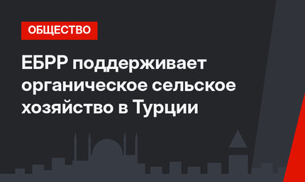 ЕБРР поддерживает органическое сельское хозяйство в Турции 