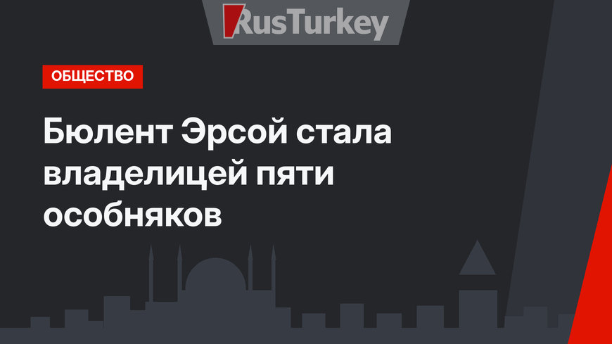 Бюлент Эрсой стала владелицей пяти особняков