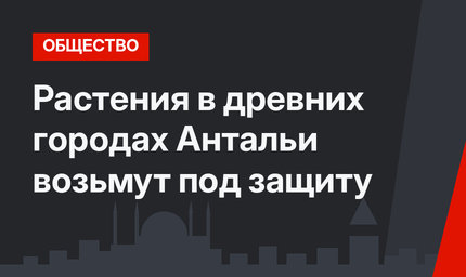Растения в древних городах Антальи возьмут под защиту