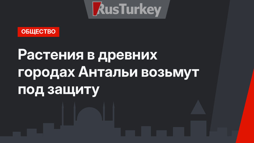 Растения в древних городах Антальи возьмут под защиту