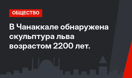 В Чанаккале обнаружена скульптура льва возрастом 2200 лет.