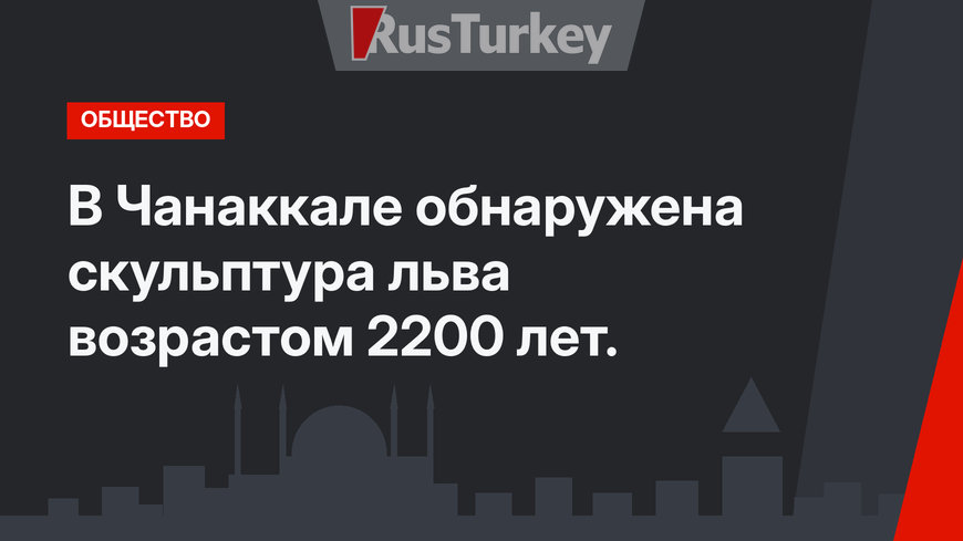 В Чанаккале обнаружена скульптура льва возрастом 2200 лет.