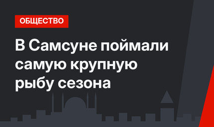 В Самсуне поймали самую крупную рыбу сезона 