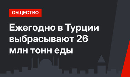 Ежегодно в Турции выбрасывают 26 млн тонн еды