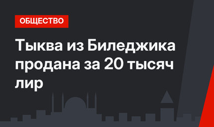 Тыква из Биледжика продана за 20 тысяч лир