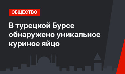 В турецкой Бурсе обнаружено уникальное куриное яйцо